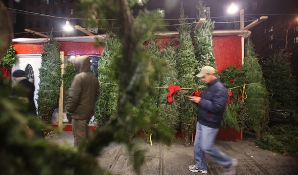 christmas tree