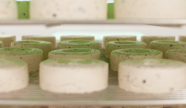 Un fromage frais produit par Kite Hill (Mahaut Launay - French Morning)