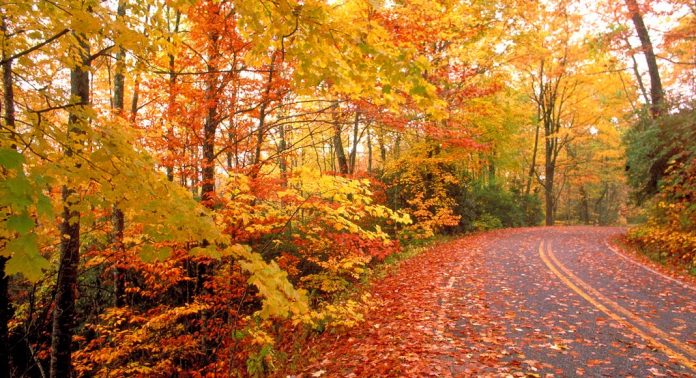 FALL USA