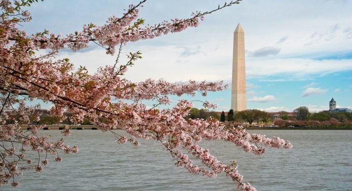 Que faire au printemps à Washington ?
