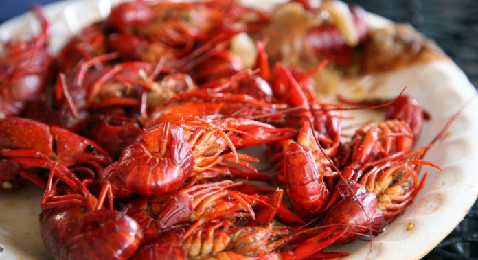crawfish